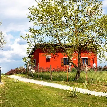 Agriturismo Poggio Degli Ulivi-2